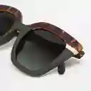 Tiwi Gafas de Sol Hale Diseño Español Carey