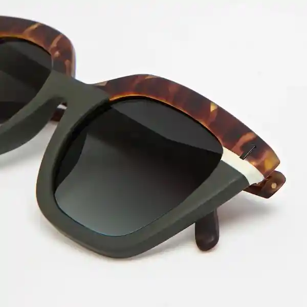 Tiwi Gafas de Sol Hale Diseño Español Carey