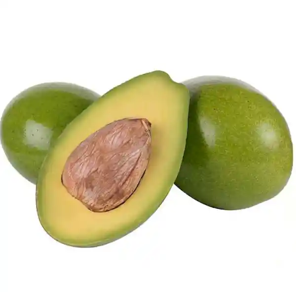 Aguacate Papelillo