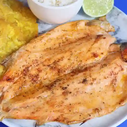 Trucha a la Plancha
