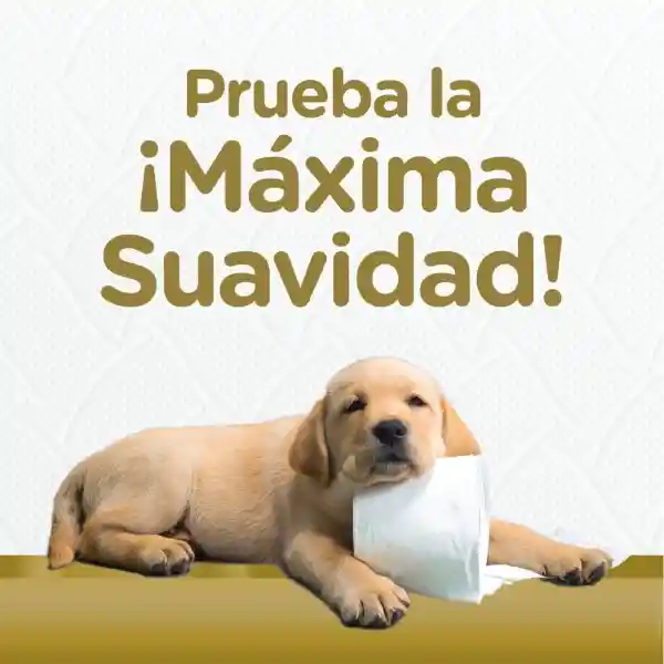 Papel Higiénico Scott Premium Comfort Triple Hoja 4 Rollos