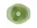 Molde Queque Silicona Casaideas