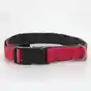 Clark Collar Para Perro Talla Xl 25 mm Fucsia 41022