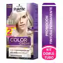 Tinte Palette Color Creme Permanente 10-1 Rubio Plata Cenizo Dt