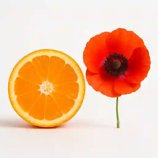 Naranja y Amapola