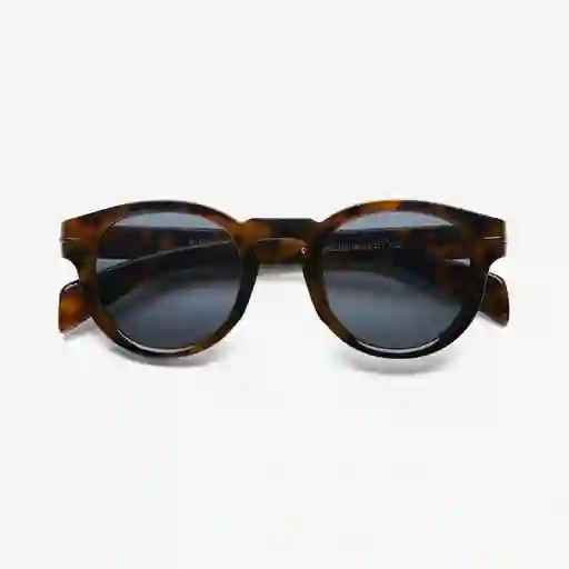 B+D Gafas de Sol Gudum Carey