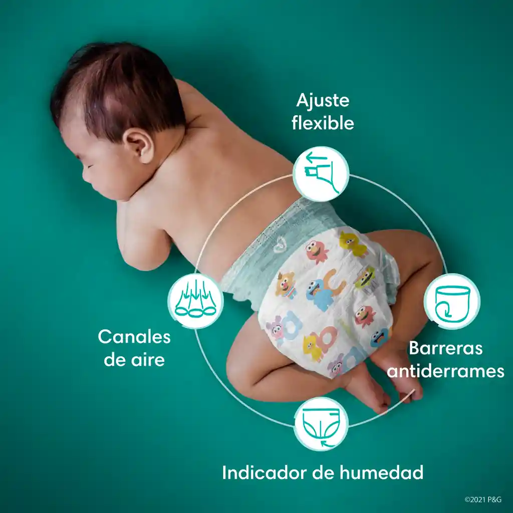 Pampers  Pañales Baby Dry