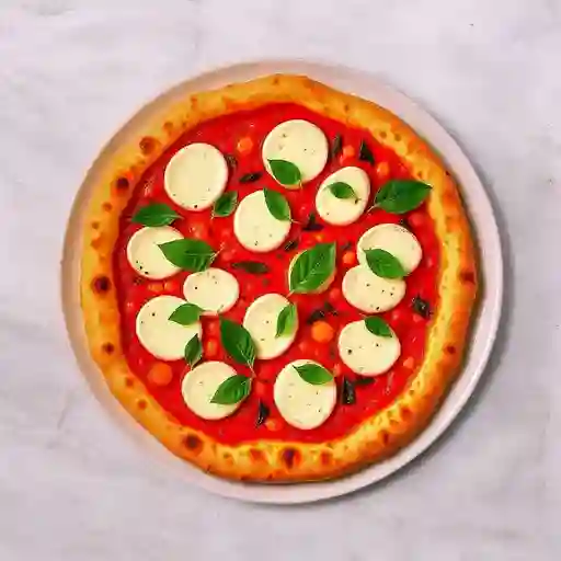 Pizza De La Casa Margherita L