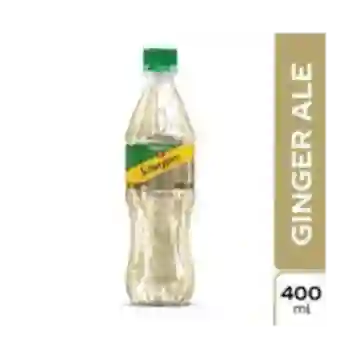 Ginger 400ml