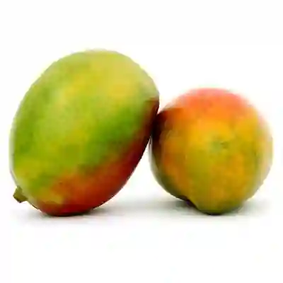 Mango Nacional