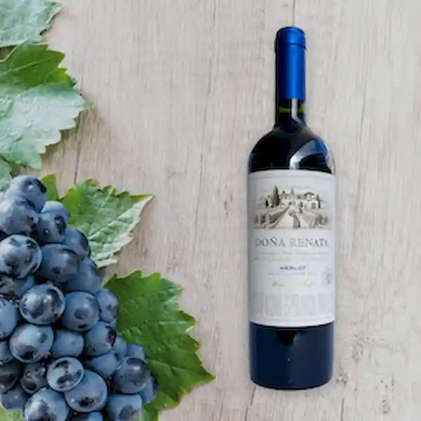 Doña Renata Vino Tinto Merlot
