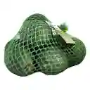Selection Aguacate Hass Members