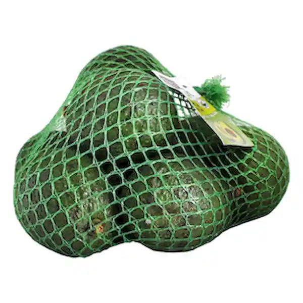 Selection Aguacate Hass Members