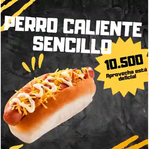 Perro Caliente Sencillo