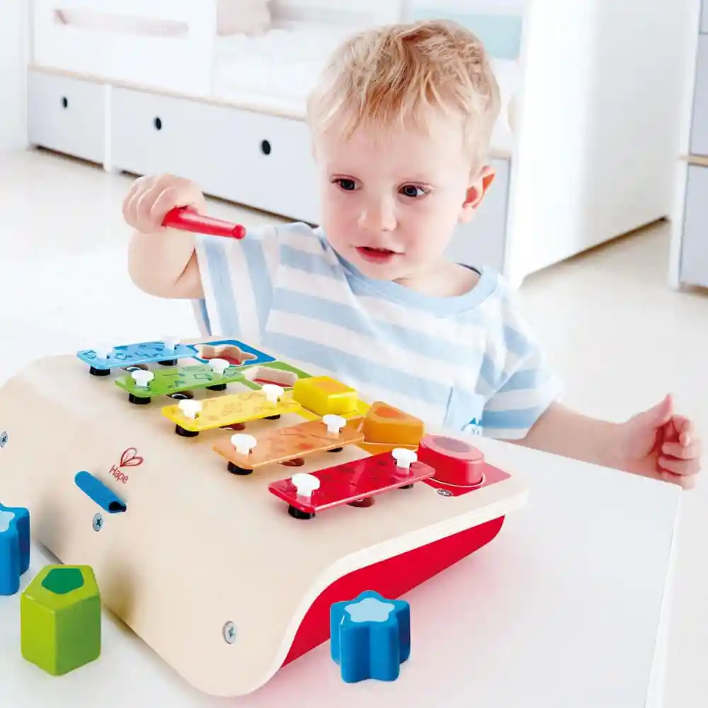 One Hape Juguete E0334 S Sorter Xyloph Xilofono