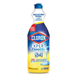 Blanqueador en Gel Clorox Pureza Cítrica Botella 1 L