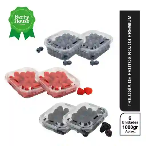 Combo Berry House Trilogía
