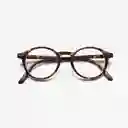 B+D Gafas Reading Loop Carey + 2.50