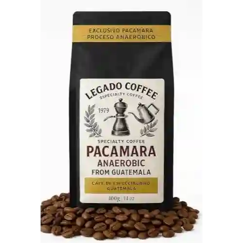 Cafe Pacamaraa