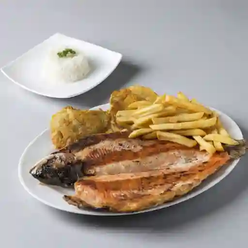 Trucha Asada