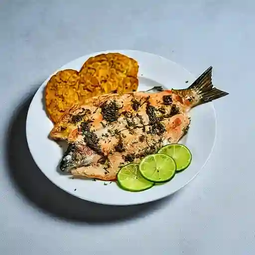 Trucha de la Casa