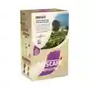 Mokaccino Nescafé Instantáneo 90 g