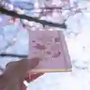 Inkanta Cuaderno Sakura Edición Limitada Grande Ruled