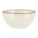 Bowl Rústico En Cerámica Crudo Para Cereal 0006