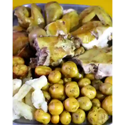 Gallina Gigante