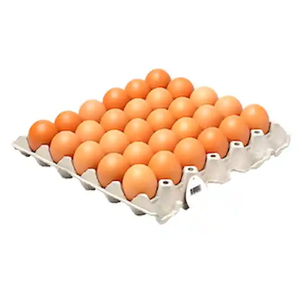 Avinal Huevos Rojos Tipo AA