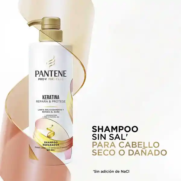 Champu de Cabello Pantene Repara y Protege (510 Ml)