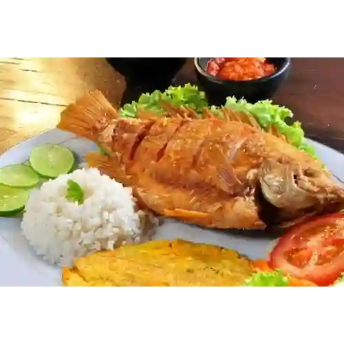 Mojarra Frita