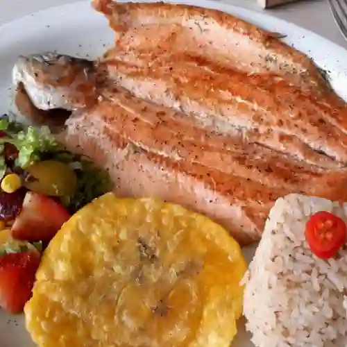 Trucha Al Ajillo