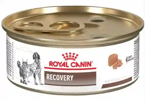 Royal Canin Alimento para Perro y Gato Recovery
