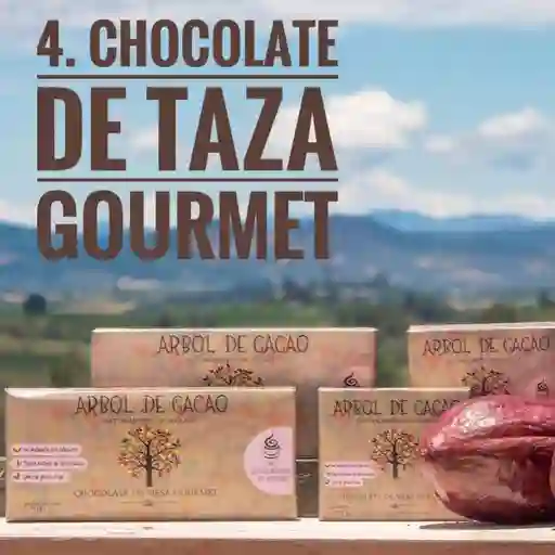 Chocolate de Taza Gourmet