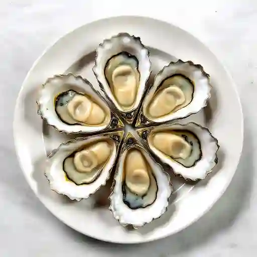 Ostras Frescas