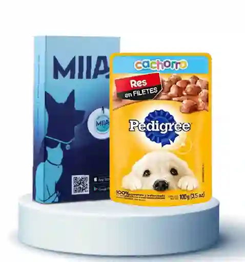 Combo Miia + Humedo Pedigrre Cachorro Res 100 g