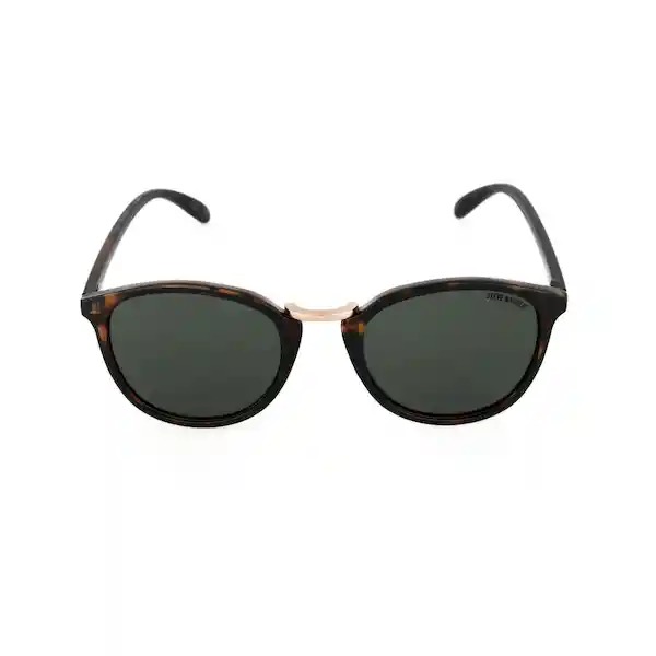 Gafas Para Hombre Color Marrón X17139 Steve Madden