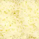 Queso Mozzarella