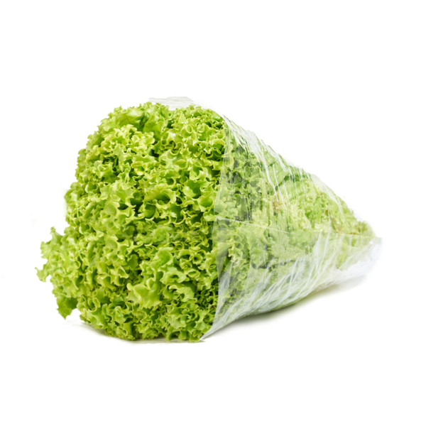 Hortifresco Lechuga Verde Crespa 200 g