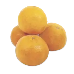 Makro Mandarina Oneco