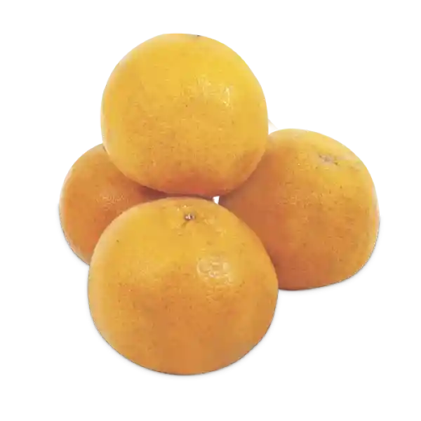 Makro Mandarina Oneco