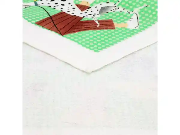 Paño de Cocina Velour Verde Casaideas