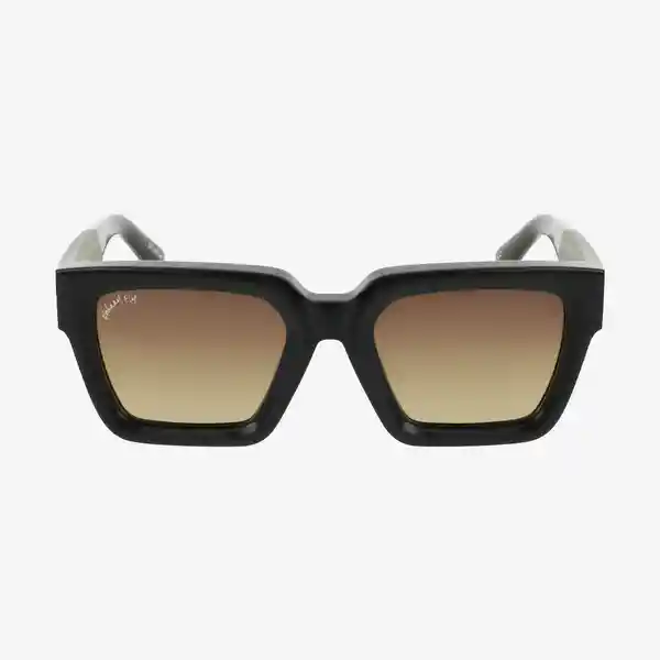 Johnny Fly Gafas Fame Negro Lente Café