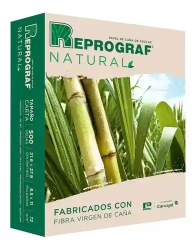 Reprograf Resma Carta Ecologica X 500 H