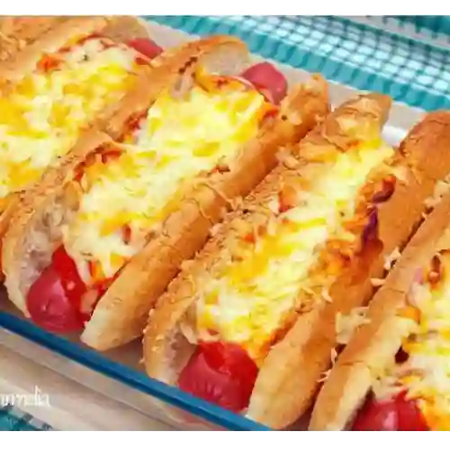 Perro Basico