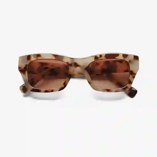 B+D Gafas de Sol Oure Ivory Carey