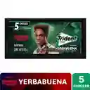 Chicle Trident Sin Azúcar Sabor Hierbabuena 5 Und