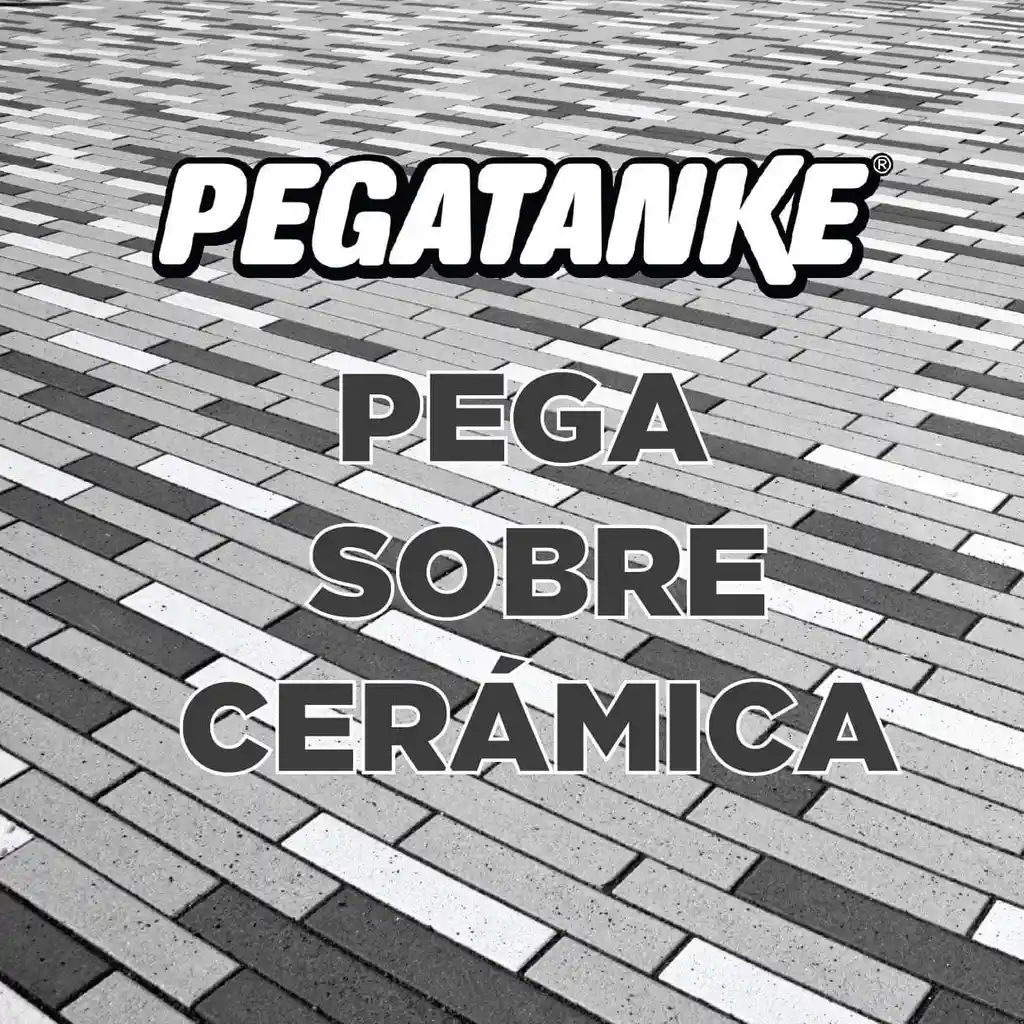 Pegamento Epoxico Extra Fuerte Pegatanke (transparente)