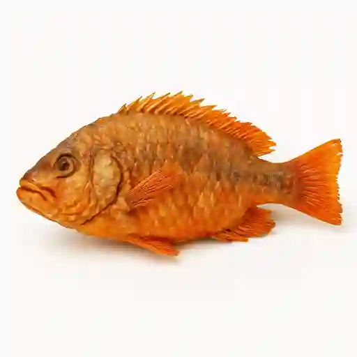 Pescado Exclusivo Frito